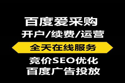 某某sem代运营公司：精准投放的背后策略